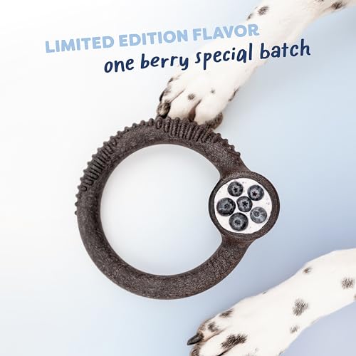 Benebone Blueberry Medium 4-Pack Dog Toys, Under 60 lbs - size: Medium, style: Limited Edition 4 Pack