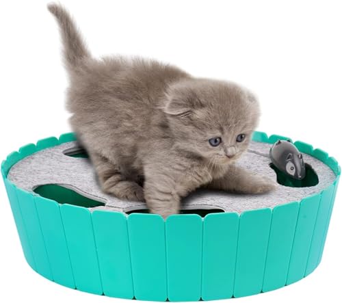 Pawaboo Interactive Cat Toy with Running Mouse, Automatic Track Kitten Toy - color: L-Lake Blue
