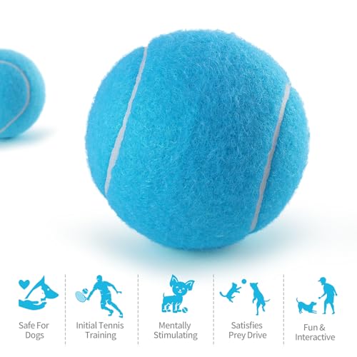 PHOEPET 6-Pack Tennis Balls for Beginner Training Practice- Bulk Dog Balls - color: Blue-6 Pack, size: Medium 2.5"- 6 Pack