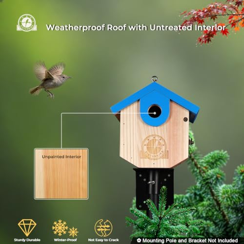 SISTERBIRD Wren Bird Houses for Outside, Bird House Warming Gifts, Blue - color: Blue