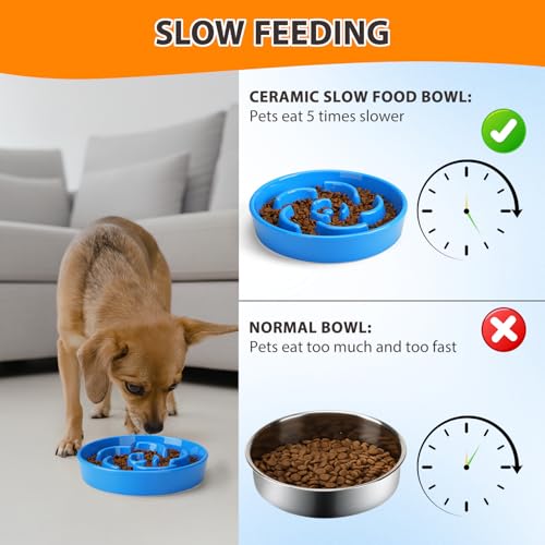 Ceramic Slow Feeder Dog Bowl, 2 Cups Maze Puzzle Dish to Slow Down Eating - color: Flower - Blue