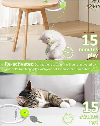 Interactive Cat Toys for Indoor Cats - Automatic Flying Bird Feather Toy Chase Exercise Enrichment Stimulation, Rechargeable Durable Safe Kitten & Adult Cat Electric Hanging Toy for Bored Cats (White)