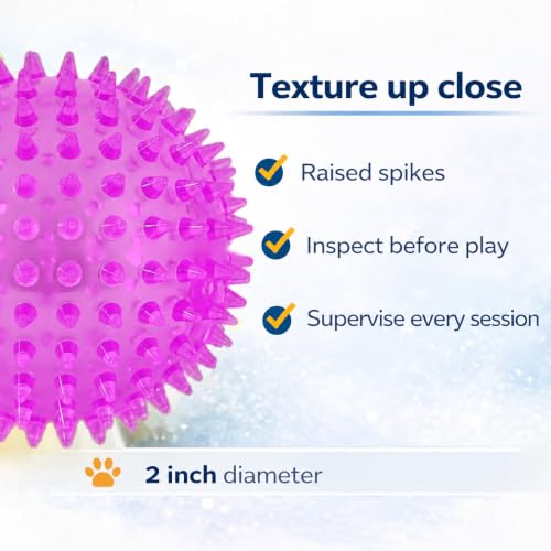 Squeaky Spiky Dog Ball for Teeth Cleaning & Gum Massage 2 Inch Puppy Small Dogs Purple | Spiny TPR Rubber Chew Toy for Fetch Play Interactive Bouncy Dental Ball Durable BPA Free Nontoxic Floats - size: 2 Inch Purple Ball 1-Pack
