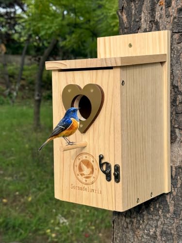 2PC Cedar Bluebird Houses for Outside with Nesting Material