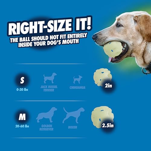 Chuckit! Air Glow Fetch Ball Dog Toy, Medium 2.5in, 2 Pack - size: Medium