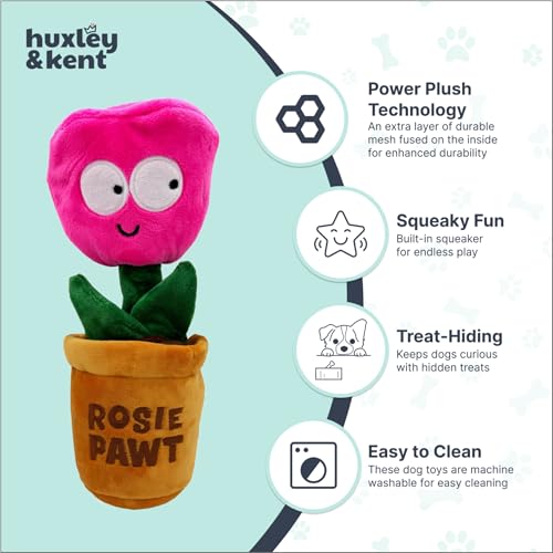 Huxley & Kent Seek 'n Treat Puzzle Dog Toy, Rosie Pawt, Large - color: Rosie Pawt, size: Large