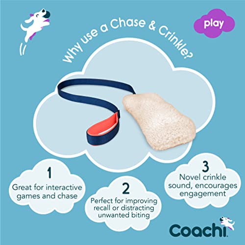 Coachi Chase & Crinkle - A Fun Enrichment Dog Toy for Chase & Play - style: Chase & Crinkle