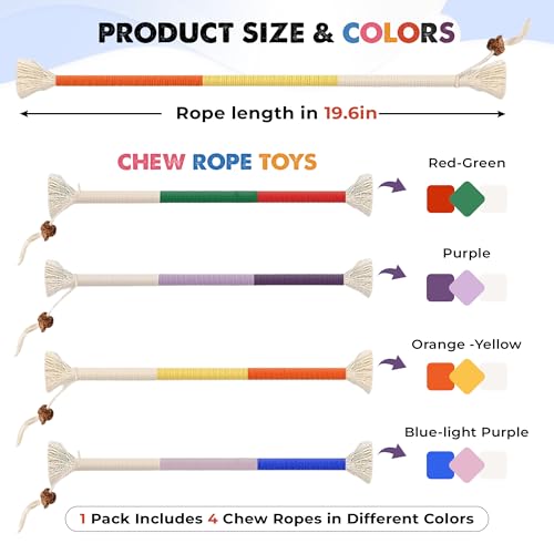 Jozy Cat Chew Rope - 4Pcs Cat Chew Toy with Refillable Natural Catnip - Interactive Kitten Teething Toys for Indoor Kittens - Bite Resistant Cotton Chew Rope Toys for All Breeds (19.6 Inches)