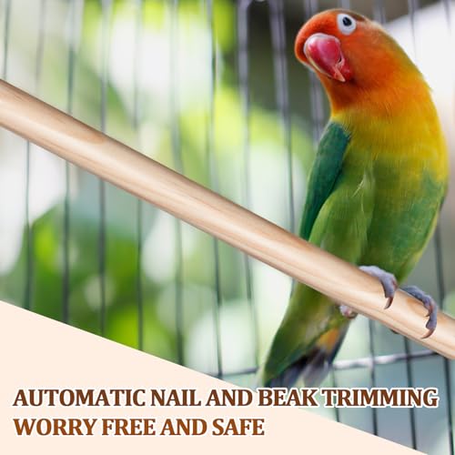 Sintuff Bird Perches Natural Wood Double Slots, 24 Inches, 8 Pcs - size: 24 Inches