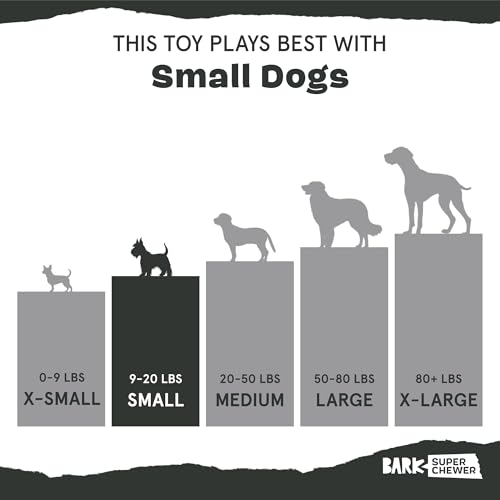 BarkBox Sven the Hedgie Rubber Dog Toy - Toy for Small Dogs - color: Sven the Hedgie - Small