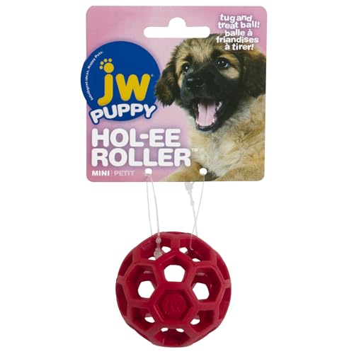 JW Pet Hol-ee Roller Treat Dispenser Puzzle Ball, Mini 1.75in, Rubber - size: Mini