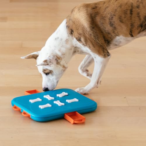 Outward Hound Nina Ottosson Dog Casino Dog Toy Treat Puzzle, 14" - color: Dog Casino (Blue, Orange), size: 1 Count (Pack of 1)