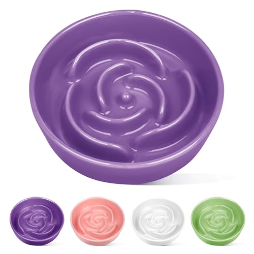 TRUVIC Ceramic Slow Feeder Dog Bowls Small Breed, 0.6 Cup Slow Feeder Cat Bowls for Fast Eaters, Ceramic Dog Food Dish no Black Chin, Puzzle Bowl for Small Dogs and Cats, Purple - color: 03-Purple, size: S-0.6 Cups