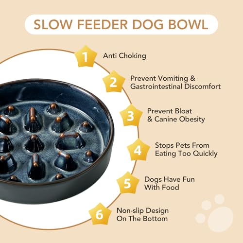 Havniva Raised Slow Feeder Dog Bowls, Elevated Dog Bowls Slow Feeder Set - color: 2 x Starry Sky + Stand - C, size: L- 8.2inch / 1.6 Cups