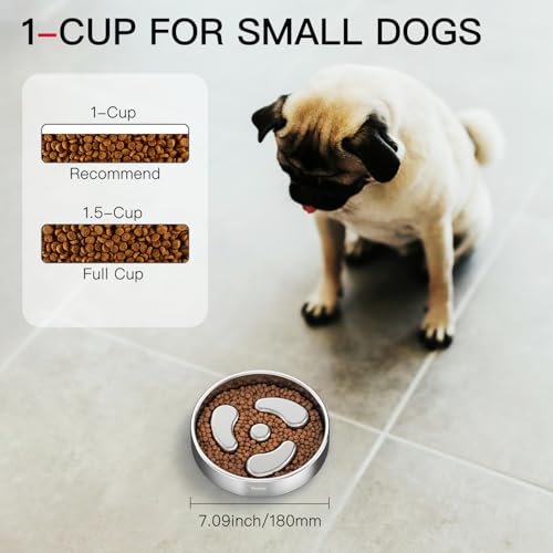 Feedoo Slow Feeder Dog Bowl-1Cup for Small Puppy, Double-Layer 304 Stainless Steel Puzzle Bowl, Anti-Choking for Fast Eaters, Non-Slip Base, Dishwasher Safe [2Pack] - color: Spiral-2Pack, size: S 1~1.5Cups