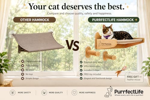 Cat Window Perch for Indoor Cats – 2-in-1 Solid Wood Cat Hammock Window Seat & Wall Mount with 9 Suction Cups, Climbing Steps + Hanging Toy – Supports 40 lbs, Bird Watching & Sunbathing
