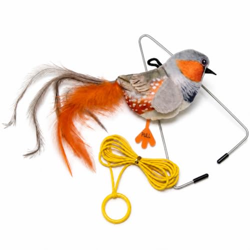 Hanging Bird Cat Toy for Indoor Cats, Motion Activated Chirping with Catnip