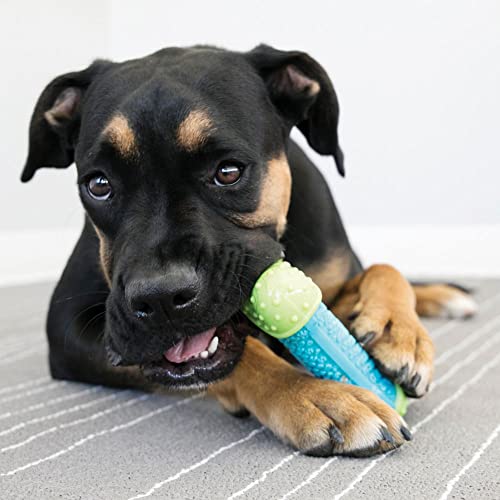 KONG CoreStrength Bone, Multi-Layered Dental Toy, for Medium/Large Dogs - size: Medium, style: Bone