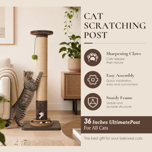 36" Cat Scratching Post, Extra-Thick Natural Sisal Scratcher Post