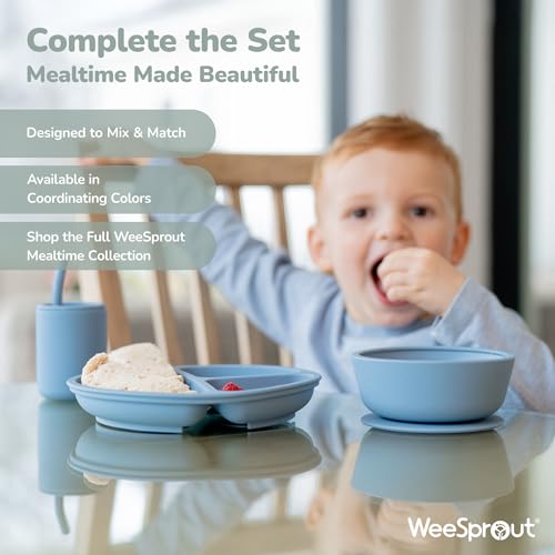 WeeSprout Suction Bowls for Baby & Toddlers (Set of 2) - 100% Silicone w/Plastic Lid - Leak Proof Feeding Supplies - Dishwasher & Microwave Safe Infant Dinnerware w/Extra Strong Base - color: Matte Pink/Purple
