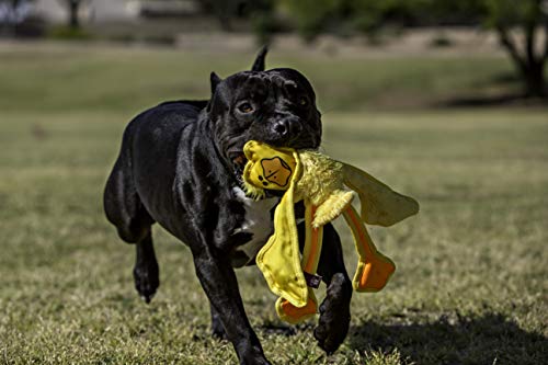 Multipet Skele Duck Dog Rope Toy - Nylon Tug of War - Squeaky Toy for All Dogs - for Playing Toss & Fetch - Cute Dog Pet Toy (15", Yellow) (Pack of 2) - size: 15" (Pack of 2), style: Duck
