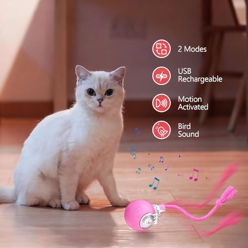 Speed 2.0 Tail Interactive Cat Toys, Rechargeable Ball for Indoor Cats - color: Pink