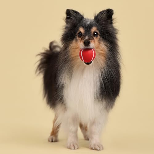 Playology Squeaky Chew Ball Dog Toy - Small, Beef Scent, 3-Pack - size: Small (VALUE 3-Pack), style: Beef