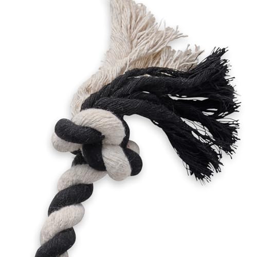Pet Passion Natural Rubber Tire and Organic Cotton Rope Pull and Chew Dog Toy for All Pet Breeds, Black, Small - color: Black, size: Small