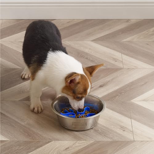 Outward Hound Fun Feeder Stainless Steel Slo Bowl for Dogs, Medium, 8.3" - color: Stainless Steel, size: Medium