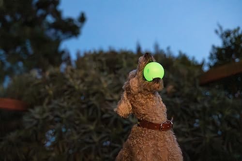 Harry Barker Glow-in-the-Dark Rubber Dog Fetch Balls, High-Bounce Interactive Toy with Safety Air Vent, 2.5 Inch, Launcher-Compatible - color: I) 2.5" 2-Pack (Glow)
