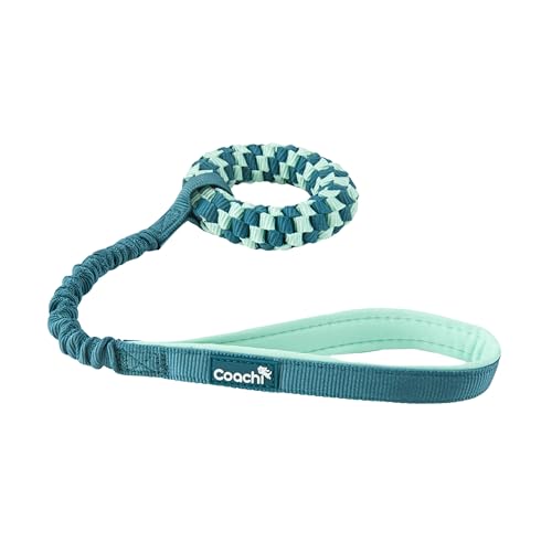 Coachi Puppy & Mini Tuggi Helix - Dog Toy for Tug of War & Play - style: Tuggi Helix