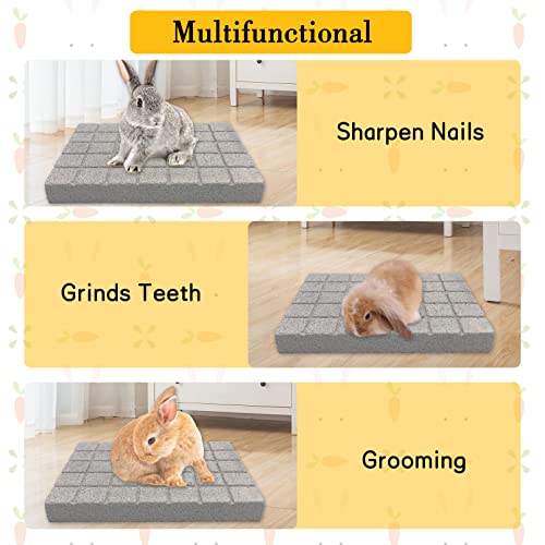 BNOSDM Rabbit Grinding Claw Pads Natural Hamster Lava Stone Teeth Grinder - color: White 1x Large