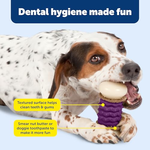 PetSafe Busy Buddy Nobbly Nubbly Treat Holding Dog Chew Toy, Small - size: Small, style: Nobbly Nubbly