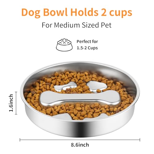 Novery Non-Slip Stainless Steel Slow Feeder Dog Bowl, 2-Cups