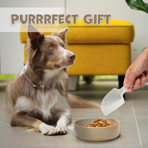 Elevated Ceramic Dog Bowls Set, Slow Feeder with Stand