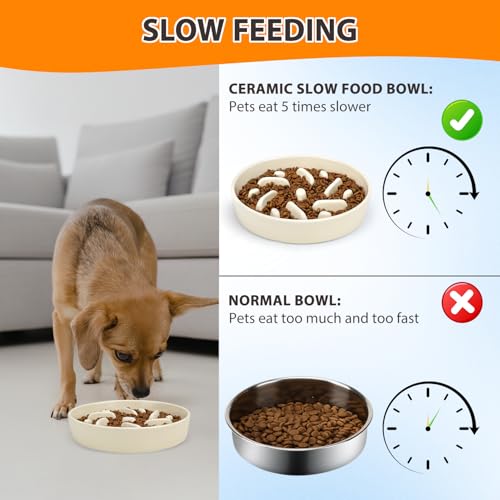 Ceramic Slow Feeder Dog Bowl, 2 Cups Maze Puzzle Dish to Slow Down Eating - color: Maze - White