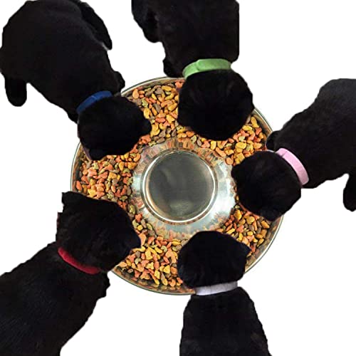 YUDANSI Stainless Steel Puppy Weaning Bowls,Cat Bowls for Food Water,Multiple Puppies Feeder Whelping Dishes,Litter Feeding Station Pans for Small Dogs Cats Eating at Same Time-Small Medium Large Size - size: 10.2in-1pcs