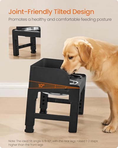Feandrea Dog Bowls Elevated, Adjustable Height, Tilted Design - color: Ink Black, style: 1 Plastic Slow Bowl + 2 Stainless Basic Bowl