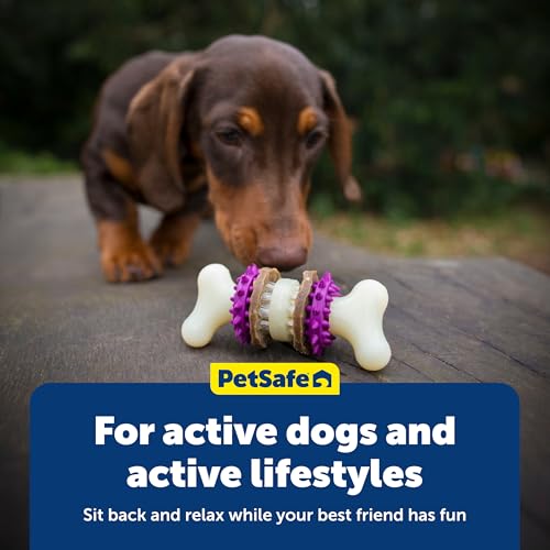 PetSafe Busy Buddy Bristle Bone Dog Treat Holding Chew Toy, Medium - size: Medium, style: Bristle Bone