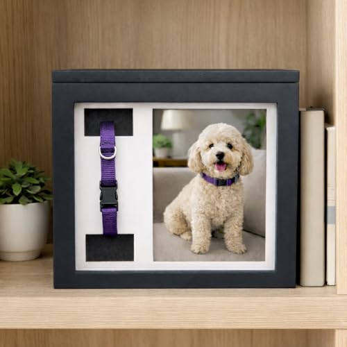 OtterPets Small Dog Urn for Ashes 4 Customizable Displays Ink Paw Print Kit - color: Black Small