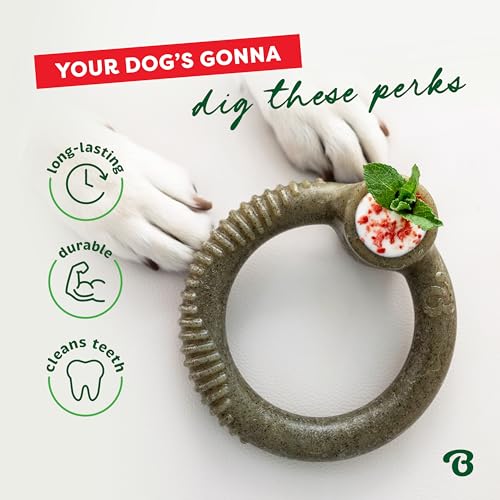 Benebone Ring Dog Chew Toy for Aggressive Chewers, Peppermint, Medium - size: Medium