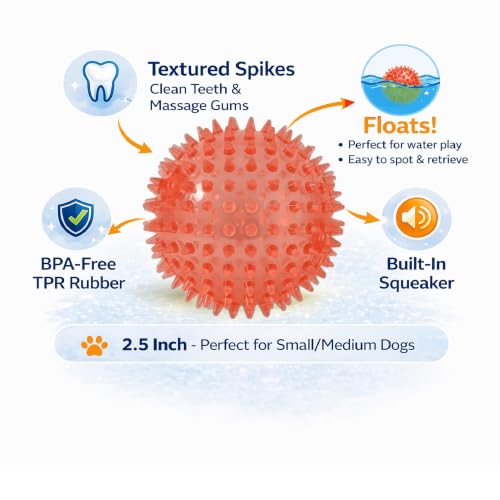 Squeaky Spiky Dog Ball for Teeth Cleaning & Gum Massage 2.5 Inch Small Medium Dogs Red | Spiny TPR Rubber Chew Toy for Fetch Play Interactive Bouncy Dental Ball Durable BPA Free Nontoxic Floats - size: Red Ball 1-Pack
