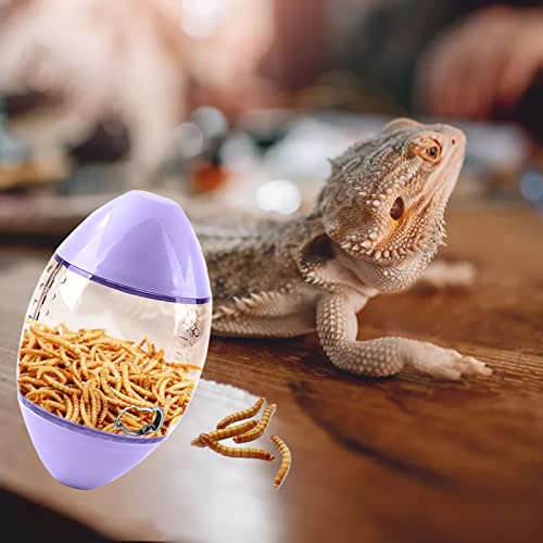 ALI2 Bearded Dragon Feeder Toy Rugby Shape, Reptile Interactive Enrichment Toy for Lizard, Gecko and Small Animals - color: Purple