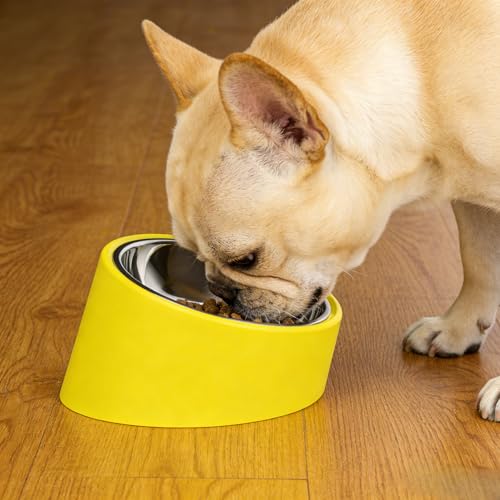 15° Tilted Slow Feeder- Non-Spill & Non-Slip Stainless Steel Dish for Small & Cats - color: Yellow, size: M