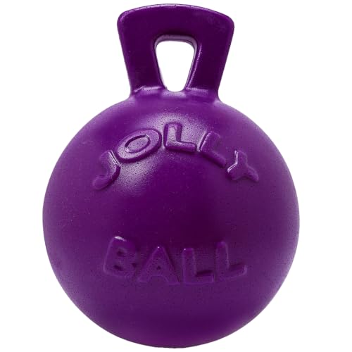 Jolly Pets Tug-n-Toss Heavy Duty Dog Toy Ball with Handle, 8 Inches/Large, Purple - color: Purple, size: Large (8 in)