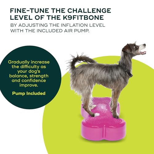 FitPaws® K9FITbone® Dog Balance Platform, Exercise Equipment, Razzleberry - color: Razzleberry