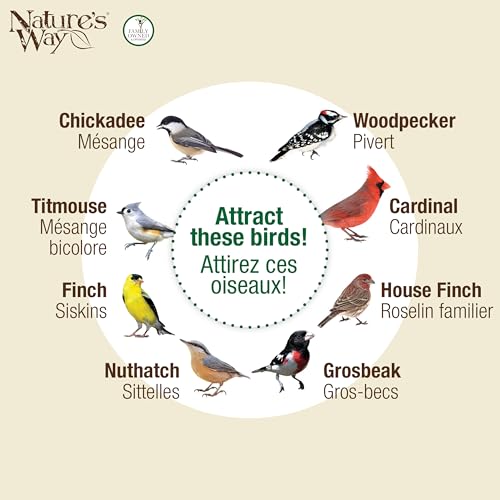 Nature's Way Metal Mesh Mixed Seed and Peanut Bird Feeder