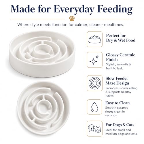 Ceramic Slow Feeder Dog Bowl 1.5 Cup Puzzle Dish for Small Medium Dogs - color: Ceramic-White