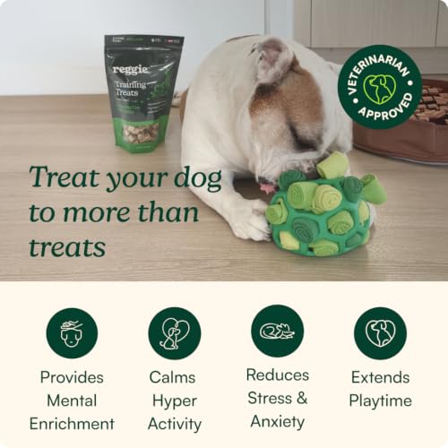 Reggie Dog Training Treats with Enrichment Toy | Turkey & Pumpkin Dog Treats + Forager Ball | Low-Calorie High-Protein Rewards | Mental Stimulation for Dogs | 340 Treats - size: Forager Ball - Turkey & Pumpkin