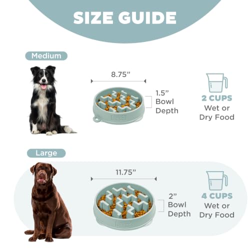 Outward Hound Fun Feeder Slo Bowl Dog Slow Feeder, Notch, Sage, 9.1", Medium (Pack of 12) - color: Sage, size: Medium (Pack of 12)